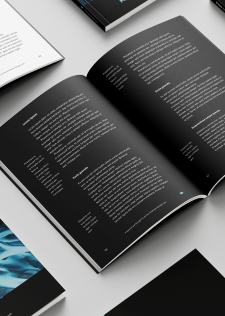 livre blanc