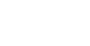 saulaie logo