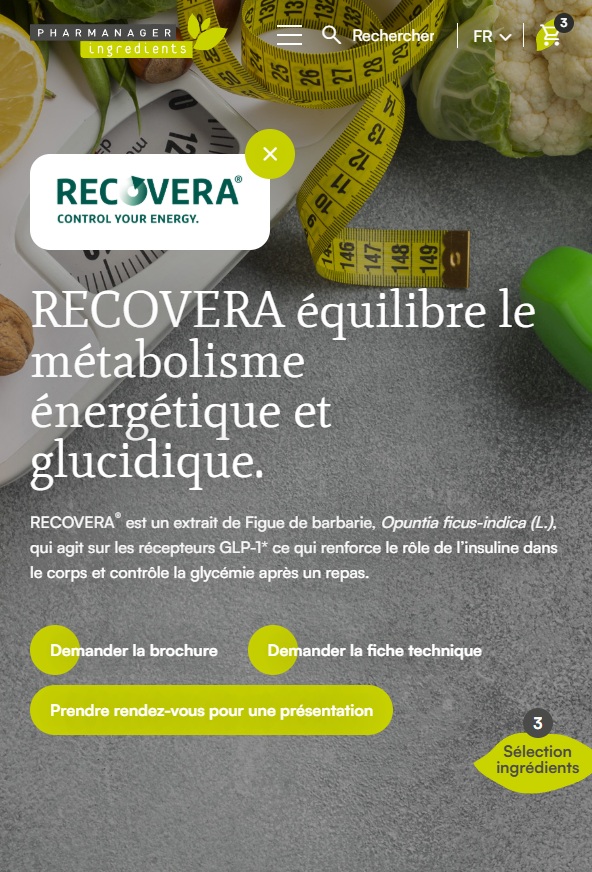 exemple de page e-commerce avec CTA, contenu et résumé