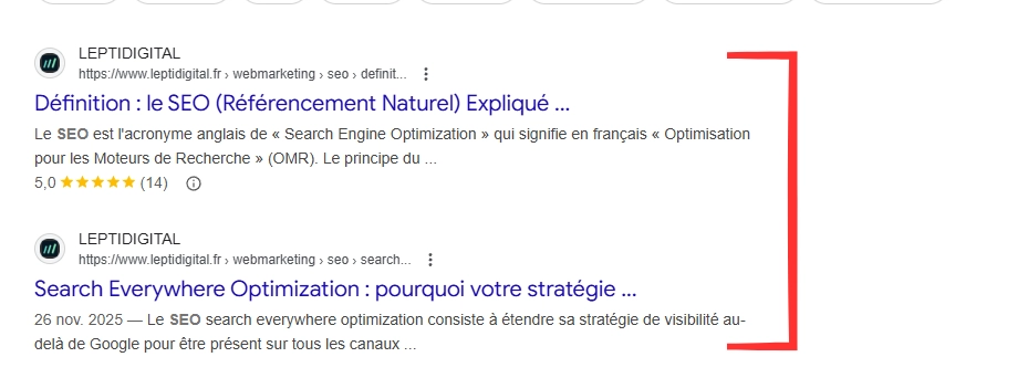 Exemple de 2 pages du même site qui se positionnent sur la même requête et se cannibalisent