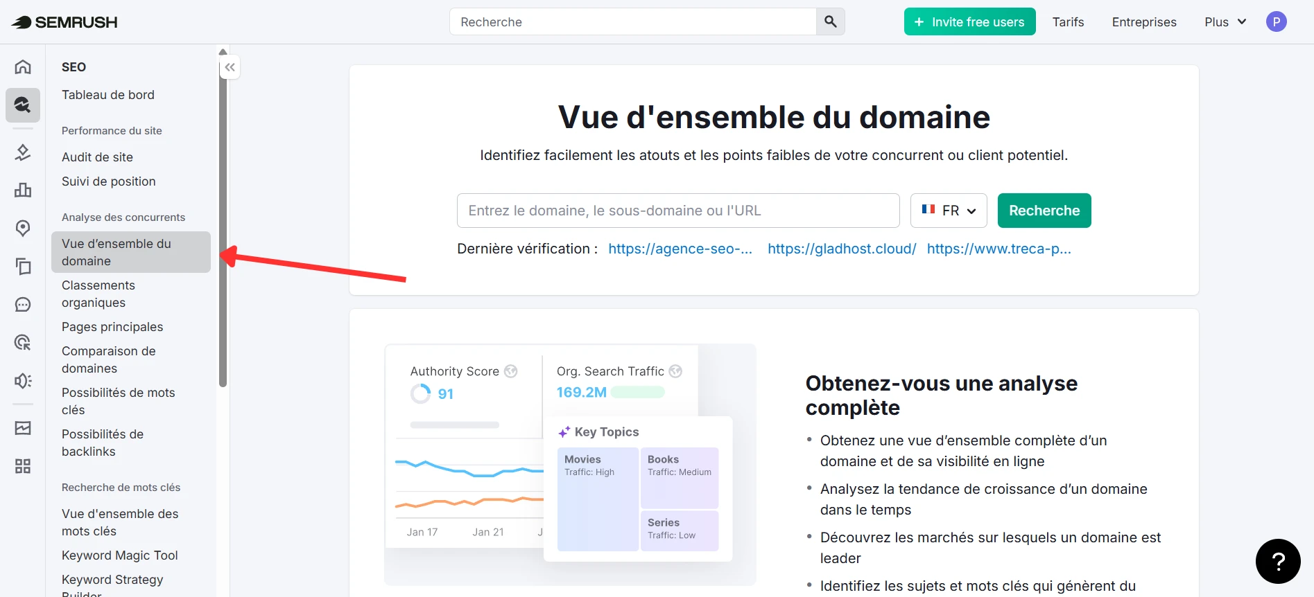 Section Vue d'ensemble du domaine pour accéder aux backlinks d'un site
