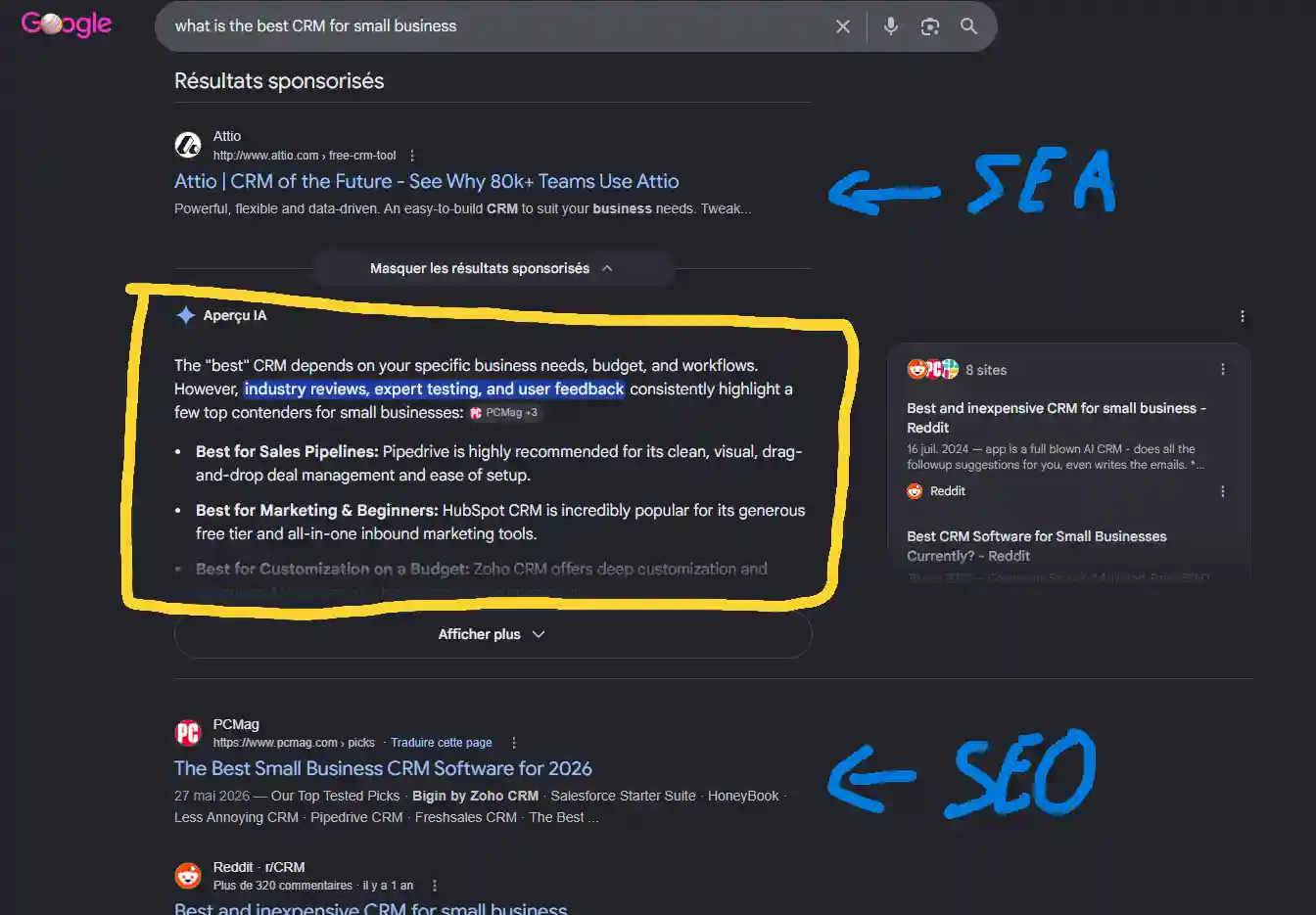 exemple d'AI Overview Google aux pays bas